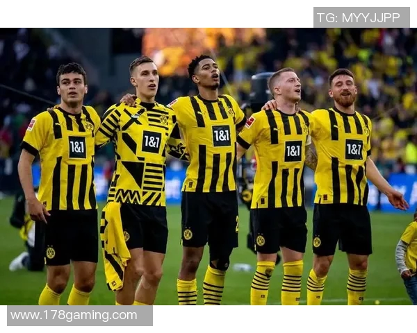 多特蒙德球迷骚乱引发欧冠禁赛处罚及高额罚款事件分析