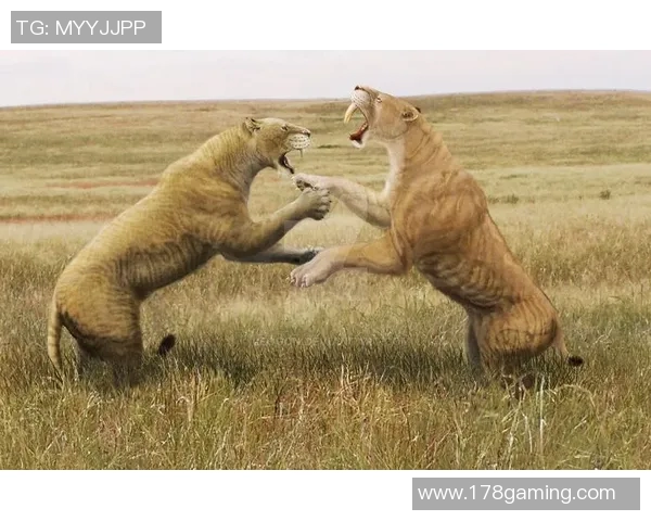 尤文图斯与瓦伦西亚激战正酣谁将赢得这场欧战巅峰对决 尤文图斯与瓦伦西亚激战正酣谁将赢得这场欧战巅峰对决