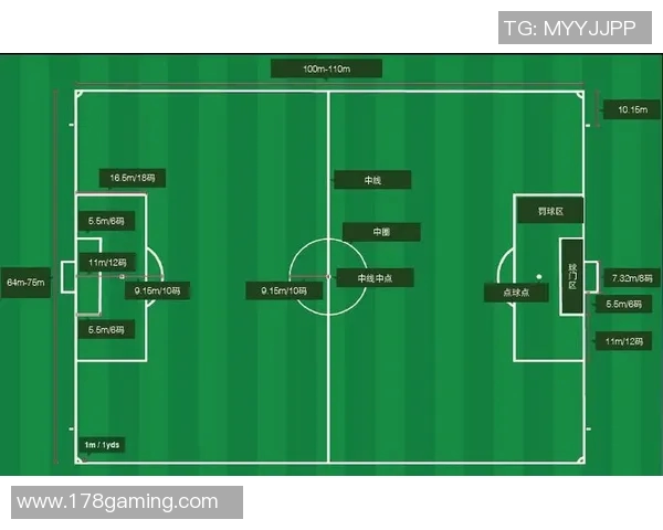 南京飞盘队防守反击策略分析及其在比赛中的成效与不足 南京飞盘队防守反击策略分析及其在比赛中的成效与不足