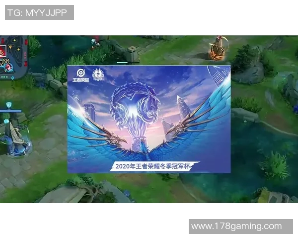 王者荣耀深度解析RNG战队的控场策略与战术布局